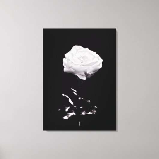 Zwart-wit mooi Roos close-up Canvas Afdruk (Voorkant)