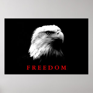 Zwart Wit Motivatie Freedom Eagle Eyes Poster