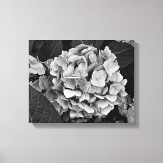 Zwart-wit muurkunst Hydrangea Canvas Afdruk