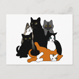 Zwart wit "n" wit "n" grijs "n" Oranje katten Briefkaart