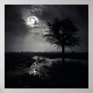 Zwart-wit noir foto maanlandschap Poster