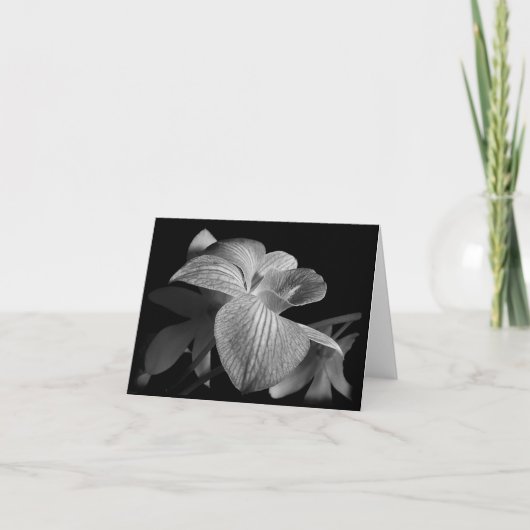 Zwart-wit Orchidee Note Kaart (Voorkant)