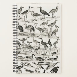 Zwart-wit Ornithology Bird Collectie 2022 Planner
