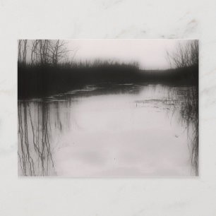 Zwart-wit Overstroomd Veld Briefkaart