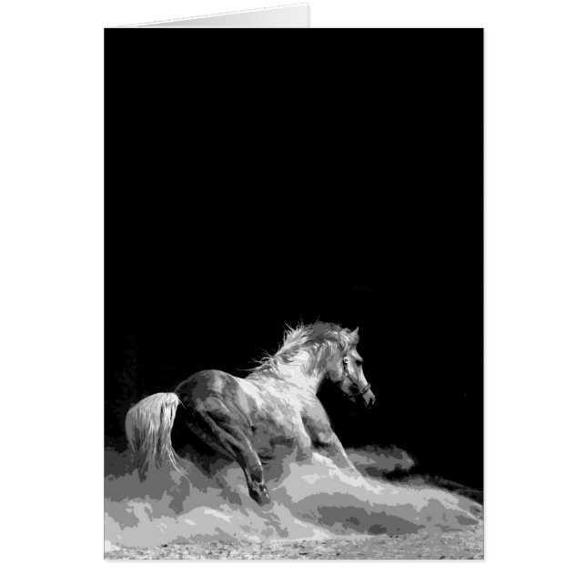 Zwart-wit paard in actie (Voorkant)