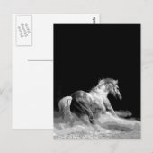 Zwart-wit paard in actie briefkaart (Voorkant / Achterkant)