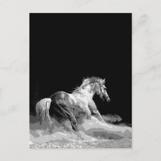 Zwart-wit paard in actie briefkaart (Voorkant)