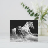 Zwart-wit paard in actie briefkaart (Staand voorkant)