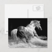 Zwart-wit paard in actie briefkaart (Voorkant / Achterkant)