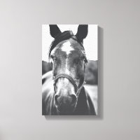 Zwart-wit Paard Portret Foto Canvas Print