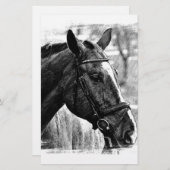 Zwart-wit paard schets briefpapier (Voorkant / Achterkant)