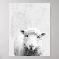 Zwart-wit Peekaboo Schaap Minimalistische Kinderka