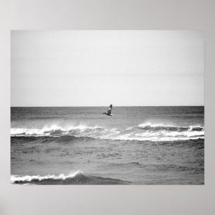 Zwart-wit pelikaans vliegen over de oceaan 16 x 20 poster
