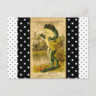  zwart-wit Polka Dot Frog Post Kaart