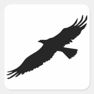 Zwart & Wit Pop Art Eagle Vierkante Sticker