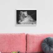 Zwart & Wit portret Japans Spitz Canvas Afdruk (Insitu (Woonkamer))