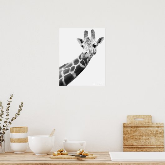 Zwart-wit portret van een giraffe poster (Keuken)