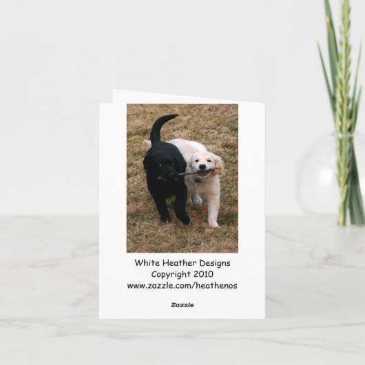 Zwart-wit puppies briefkaart (Achterkant)