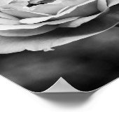 Zwart-wit Romantisch Roos Poster (Hoek)