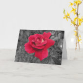 Zwart Wit Rood Rose Kaarten (Gele Bloem)
