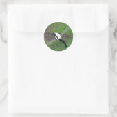 Zwart-wit Ruffed Lemur #3 Stickers (Tas)