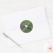 Zwart-wit Ruffed Lemur #3 Stickers (Envelop)