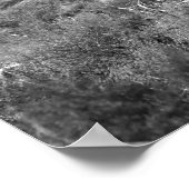 Zwart-wit Saguaro Cactus in Sagebrush 16x20 Poster (Hoek)