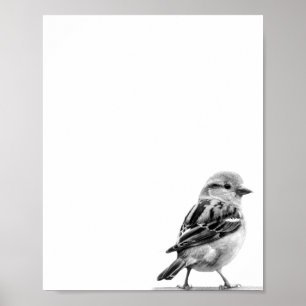 Zwart-wit Schattige Wilde Vogel Foto Poster