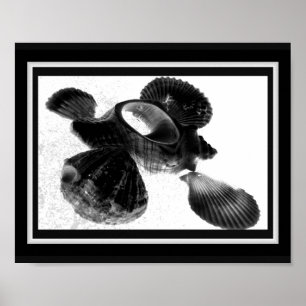 Zwart-wit Seashell Tropische afdrukbare kunst Poster