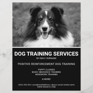 Zwart & Wit Shetland Sheepdog Foto Hondentrainer Flyer