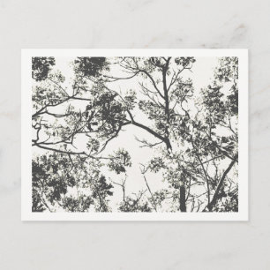 Zwart-wit Silhouet van de Boom Briefkaart