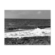 Zwart-wit Standaard Briefkaart Mailing Kaarten