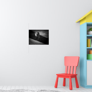 Zwart-Wit Straatkat Fotografie Poster