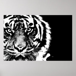 Zwart-wit Sumatraanse Borneo Tijger Poster