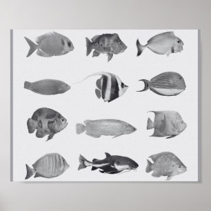 Zwart-wit Tropische Vis Printable Art Poster