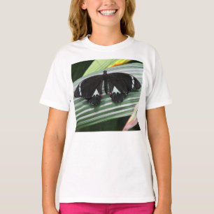 Zwart-wit tropische vlinder t-shirt