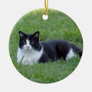 zwart-wit Tuxedo Cat Foto Keramisch Ornament