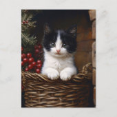 Zwart-wit Tuxedo Cat Winter Scene Schilderij Briefkaart (Voorkant)