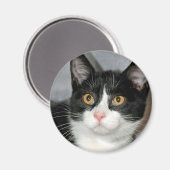 Zwart-wit Tuxedo Kat Magneten (Voorkant / Achterkant)