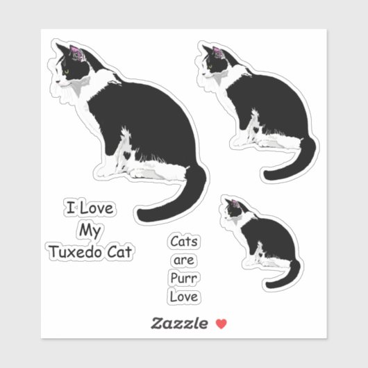 Zwart-wit Tuxedo Katten Sticker Set (Vel)