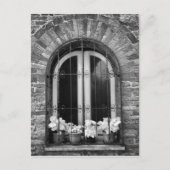 Zwart-wit uitzicht van ramen en bloempotten briefkaart (Voorkant)