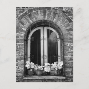 Zwart-wit uitzicht van ramen en bloempotten briefkaart