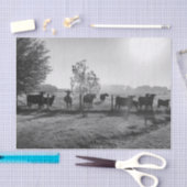 Zwart-wit veld Koeien foto Decoupage Tissuepapier (Craft)
