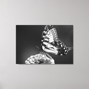 Zwart-wit vlinderdoek canvas afdruk