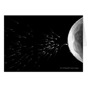 Zwart-wit voorbeeld van bemesting