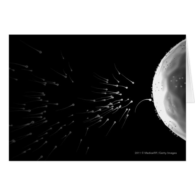 Zwart-wit voorbeeld van bemesting (Voorkant Horizontaal)