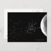 Zwart-wit voorbeeld van bemesting briefkaart (Voorkant / Achterkant)