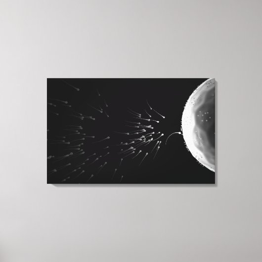Zwart-wit voorbeeld van bemesting canvas afdruk (Voorkant)