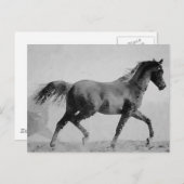 Zwart & Wit Wandelpaard Briefkaart (Voorkant / Achterkant)