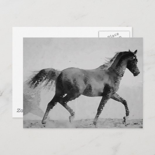 Zwart & Wit Wandelpaard Briefkaart (Voorkant / Achterkant)